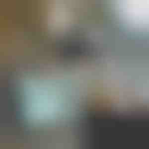 Multifunkcionalna kolica | CARRYMAX