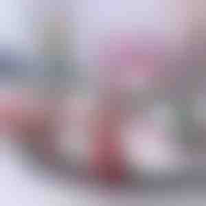 Božićni vlak | TRAINMAS