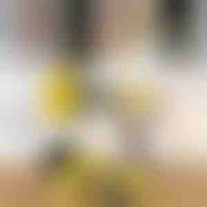 Snažan set četki za čišćenje bušilicom (3 kom) | DRILLBRUSH