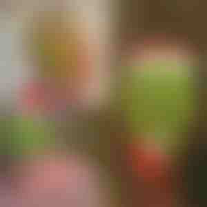 Božićni ukras Grincheve noge | ELFLEGS