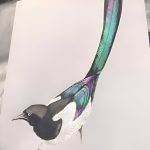 COLORLINKE