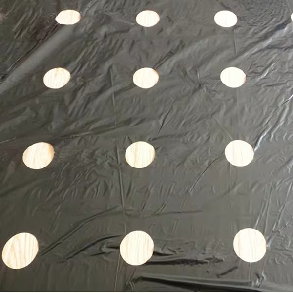 VEGUARD13800__4308448e