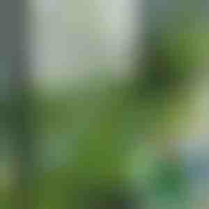 Dekorativne pločice od umjetne trave (5 kom) | GRASSTILE