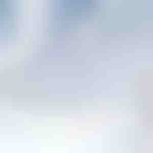 Magnetska zaštita vjetrobranskog stakla od snijega | FROSTCOVER