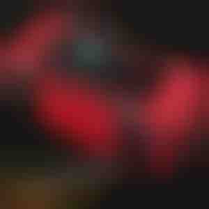 Inteligentni punjač akumulatora za vozila | EMERGIX