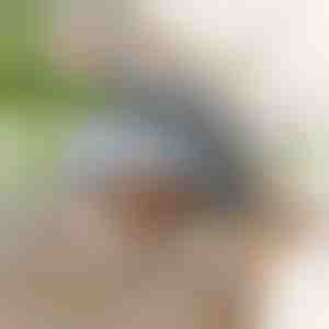 Interaktivna igračka ptica koja maše krilima | CHIRRCAT